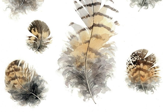 Great Horned Owl Feathers Watercolor Illustration 3 
