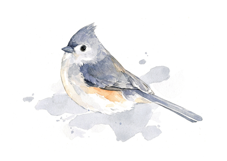 Original Bird Watercolor Painting 3