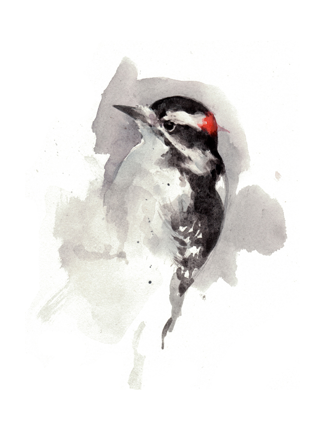 Original Bird Watercolor Painting 1