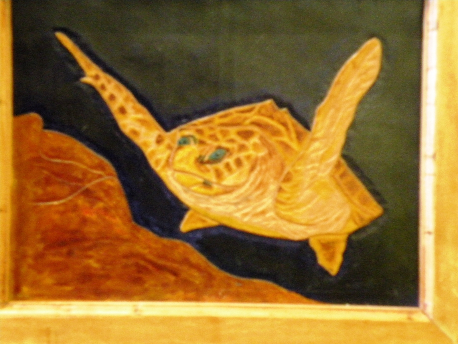 Oklahoma Aquarium 2 