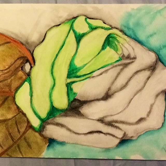 Watercolor Rose