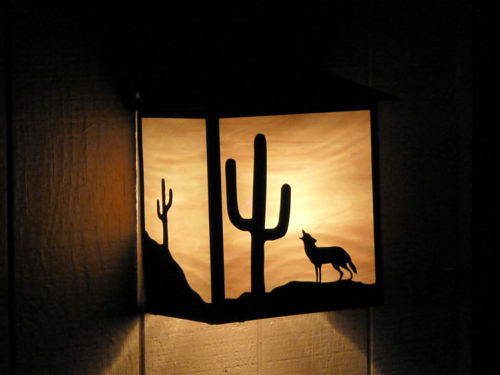 Desert Skies Wall Light