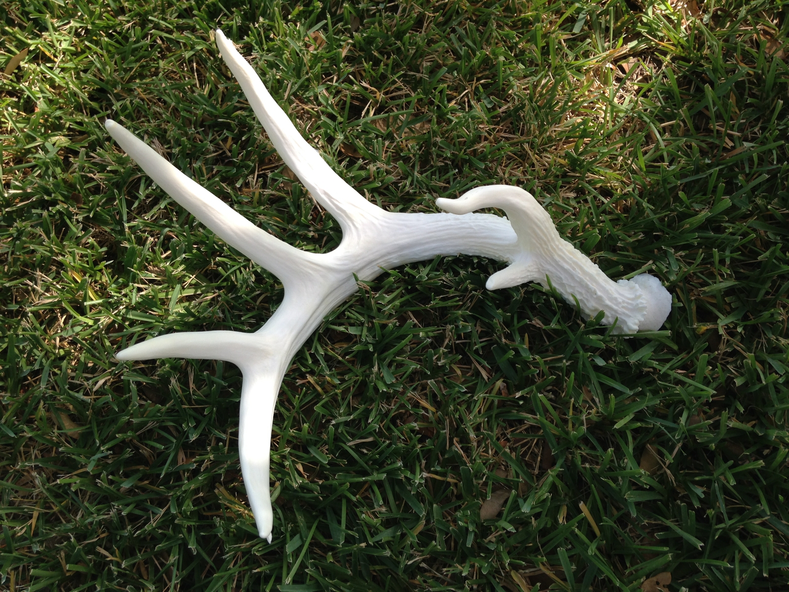 Tallulah Rose: Upholstered  Whitetail Deer Replica 3 