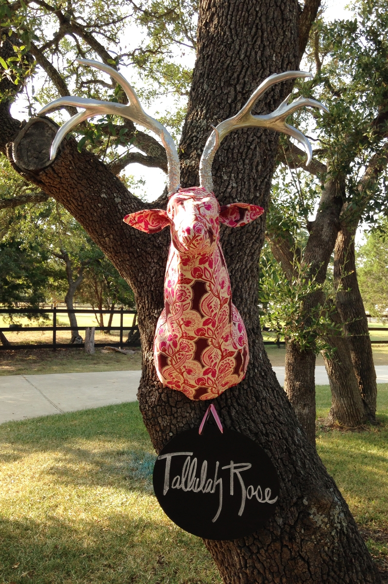 Tallulah Rose: Upholstered  Whitetail Deer Replica