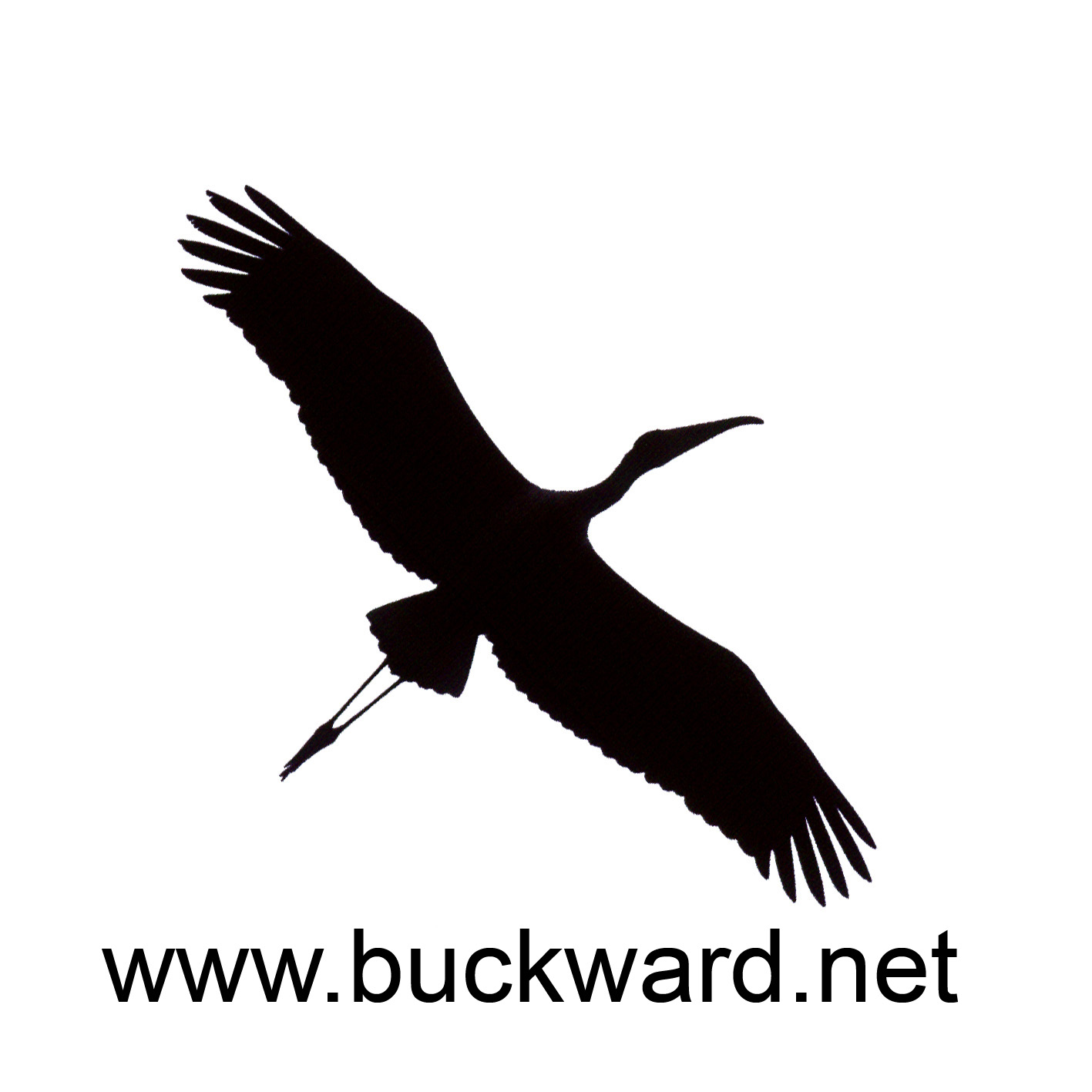 Buck Ward