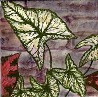Caladiums Ceramic Tile Wall Mural