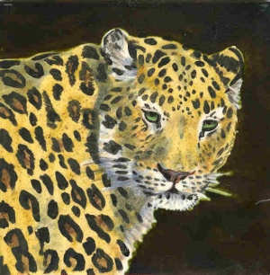 The Big Cats 1 