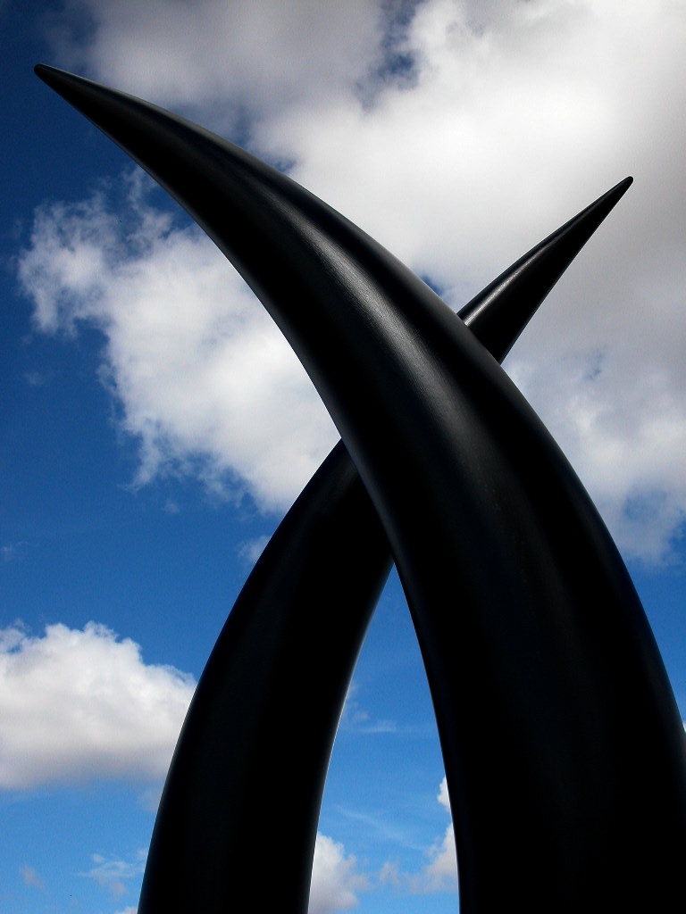 Sculpture - Nine Months 2