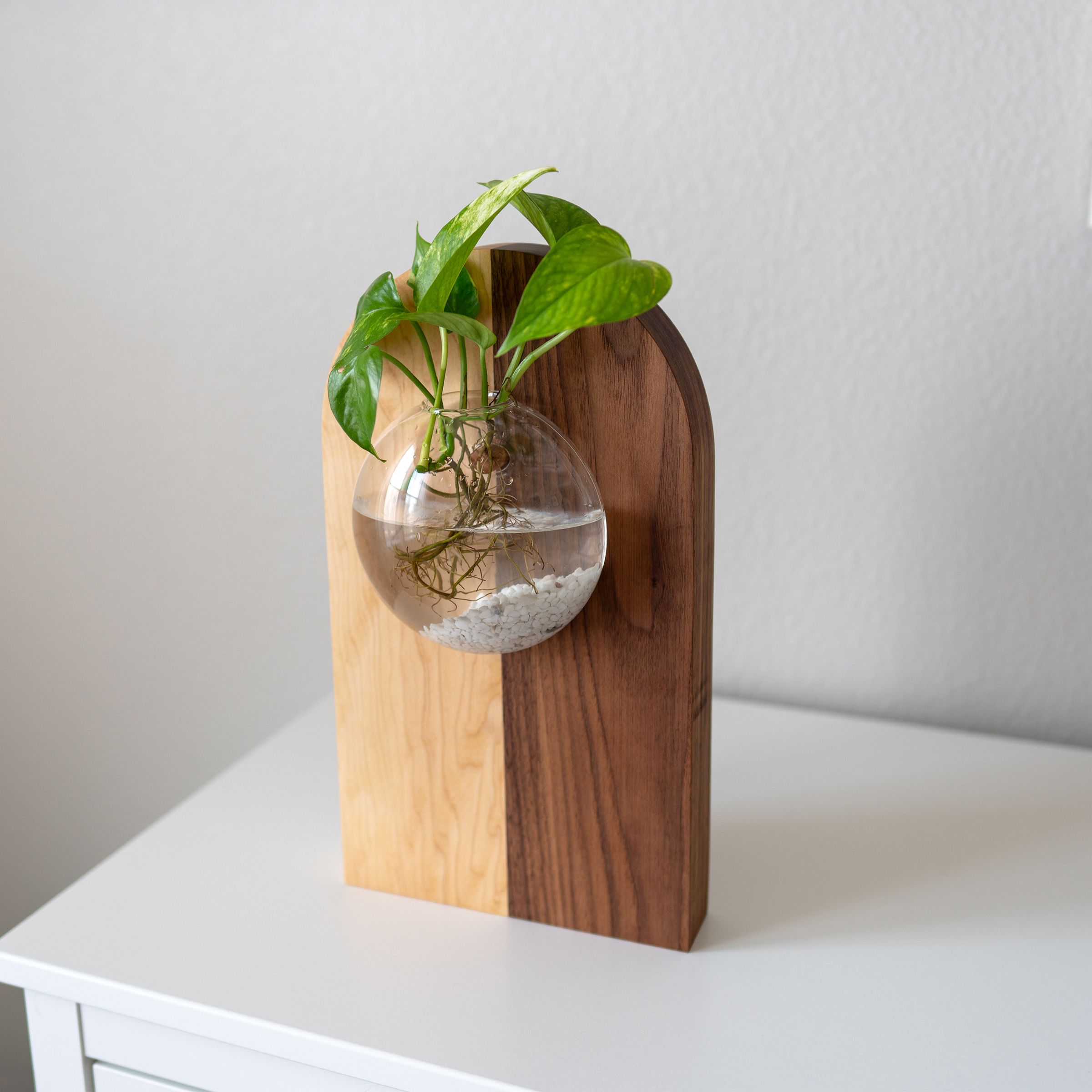 Propagation Vase - Fly Me To The Moon 4 