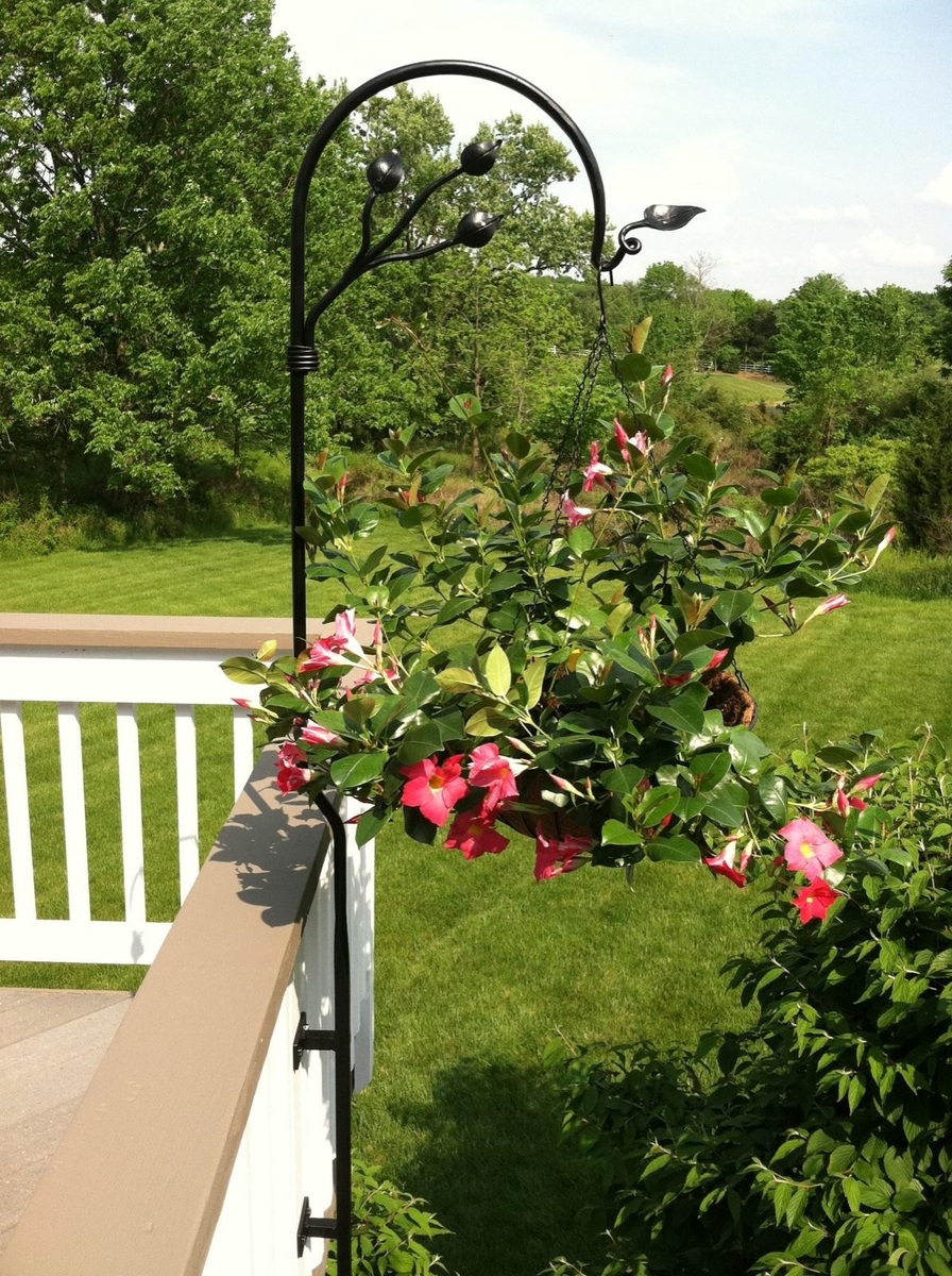 Plant Hangers 2 