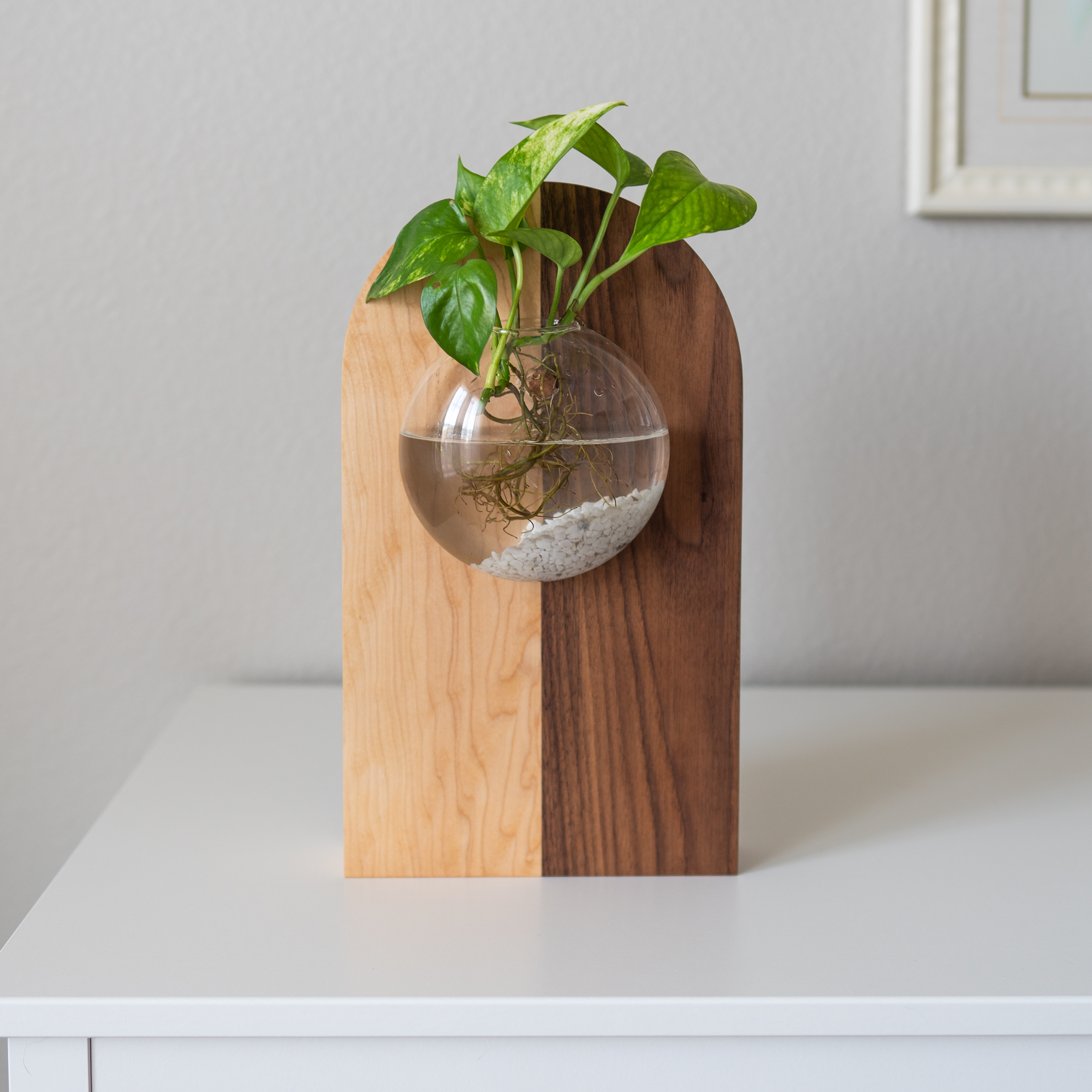 Propagation Vase - Fly Me To The Moon 3 