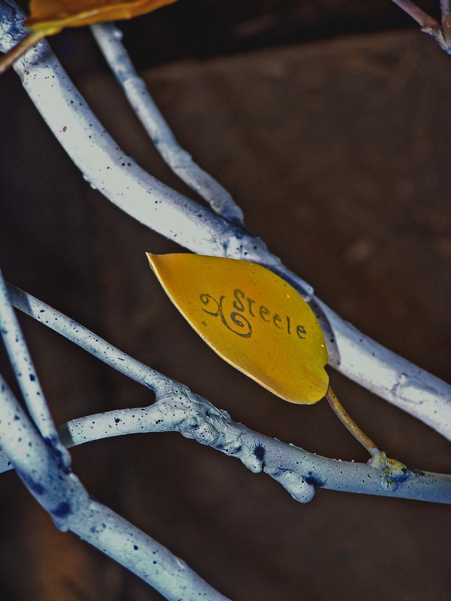 Aspen Tree Stair Railing 5 