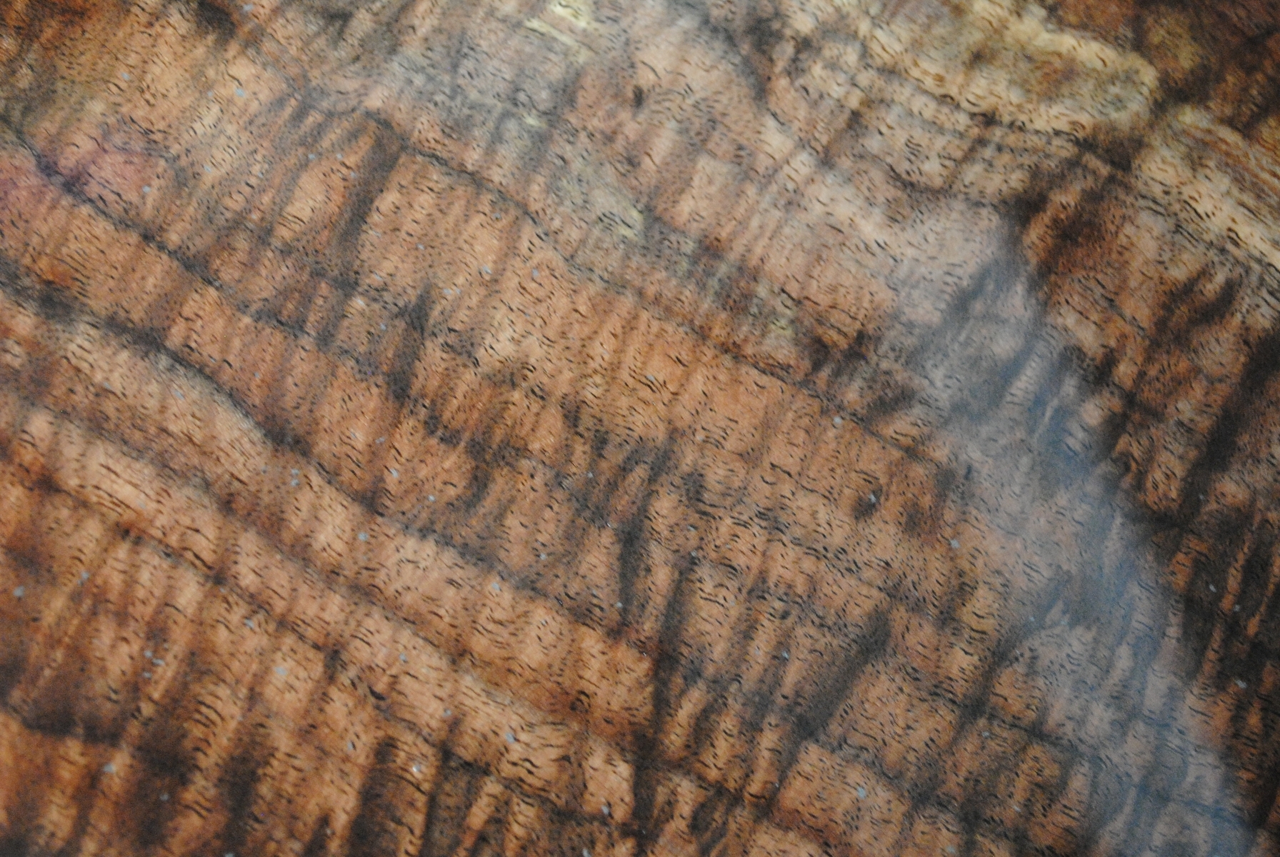 Walnut Slab Dining Table 5 