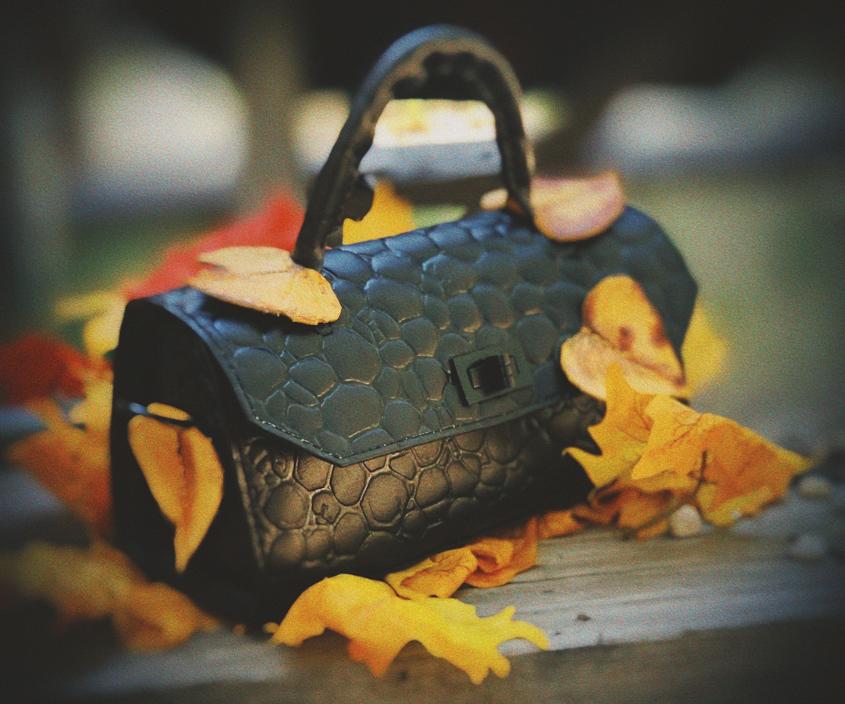 Mini leather handbag river rock and fall leaves
