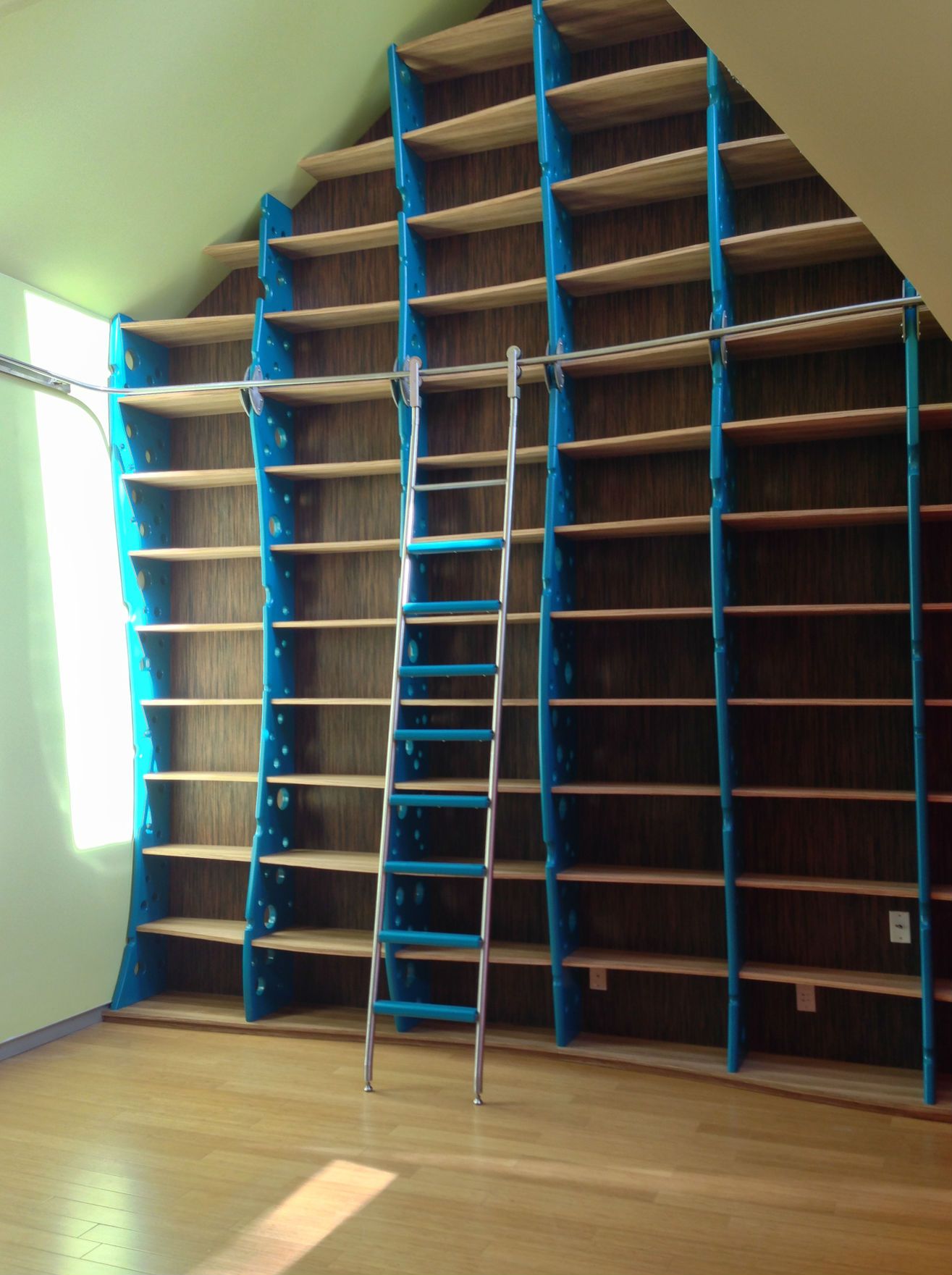 Home Library with Library Ladder by Nathan Hunter Design