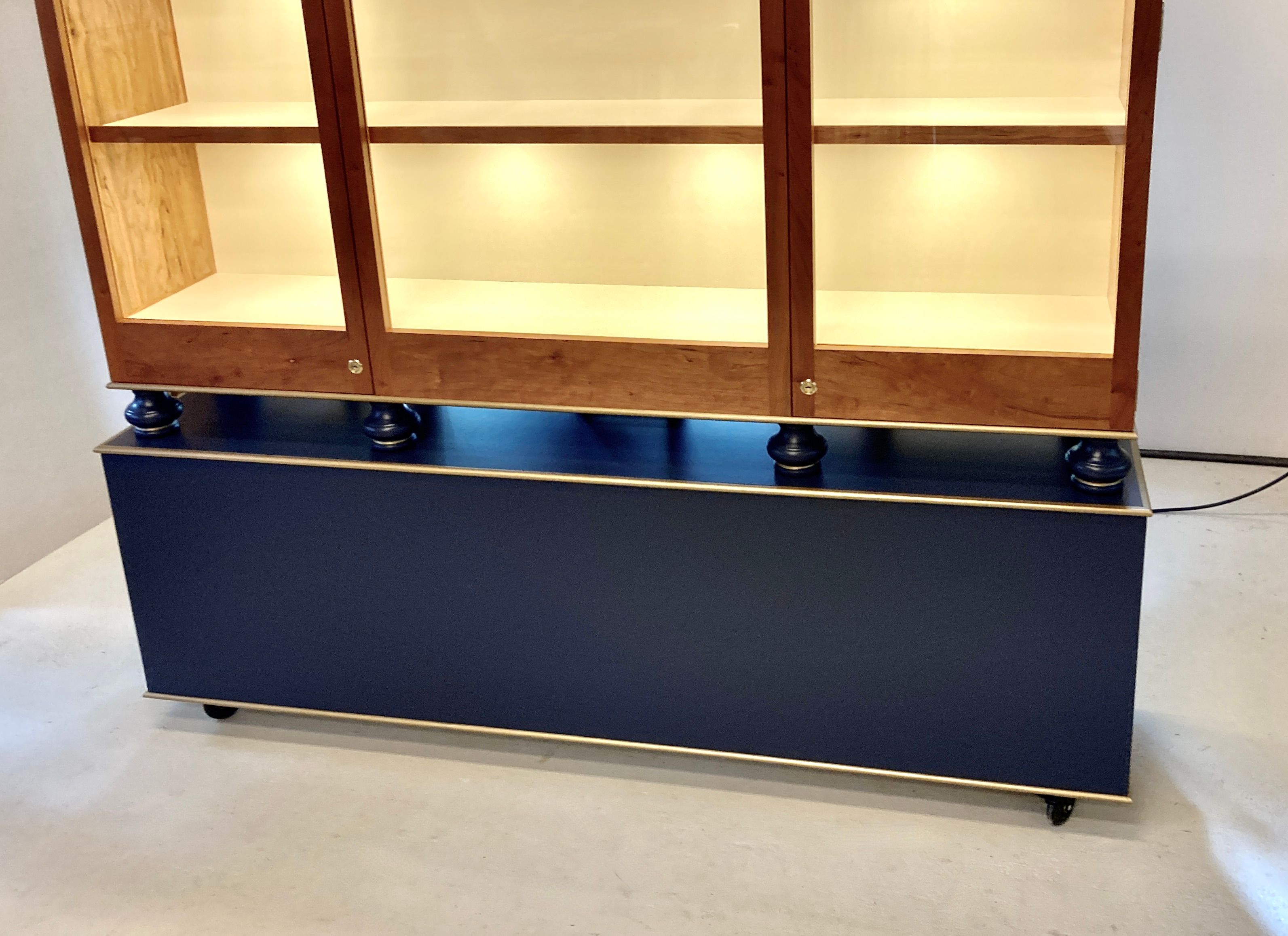Museum Display Case 3 