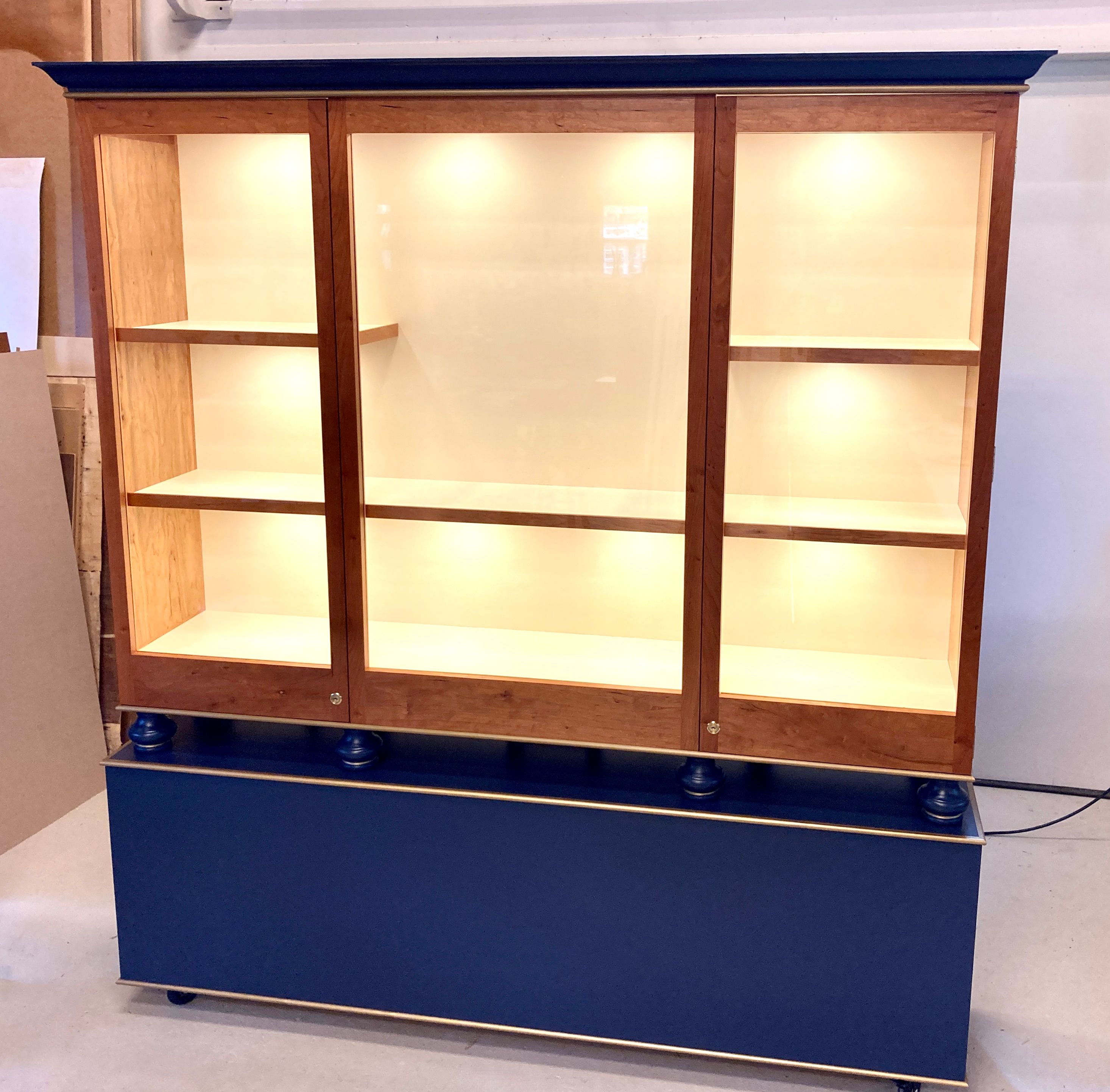 Museum Display Case 1 