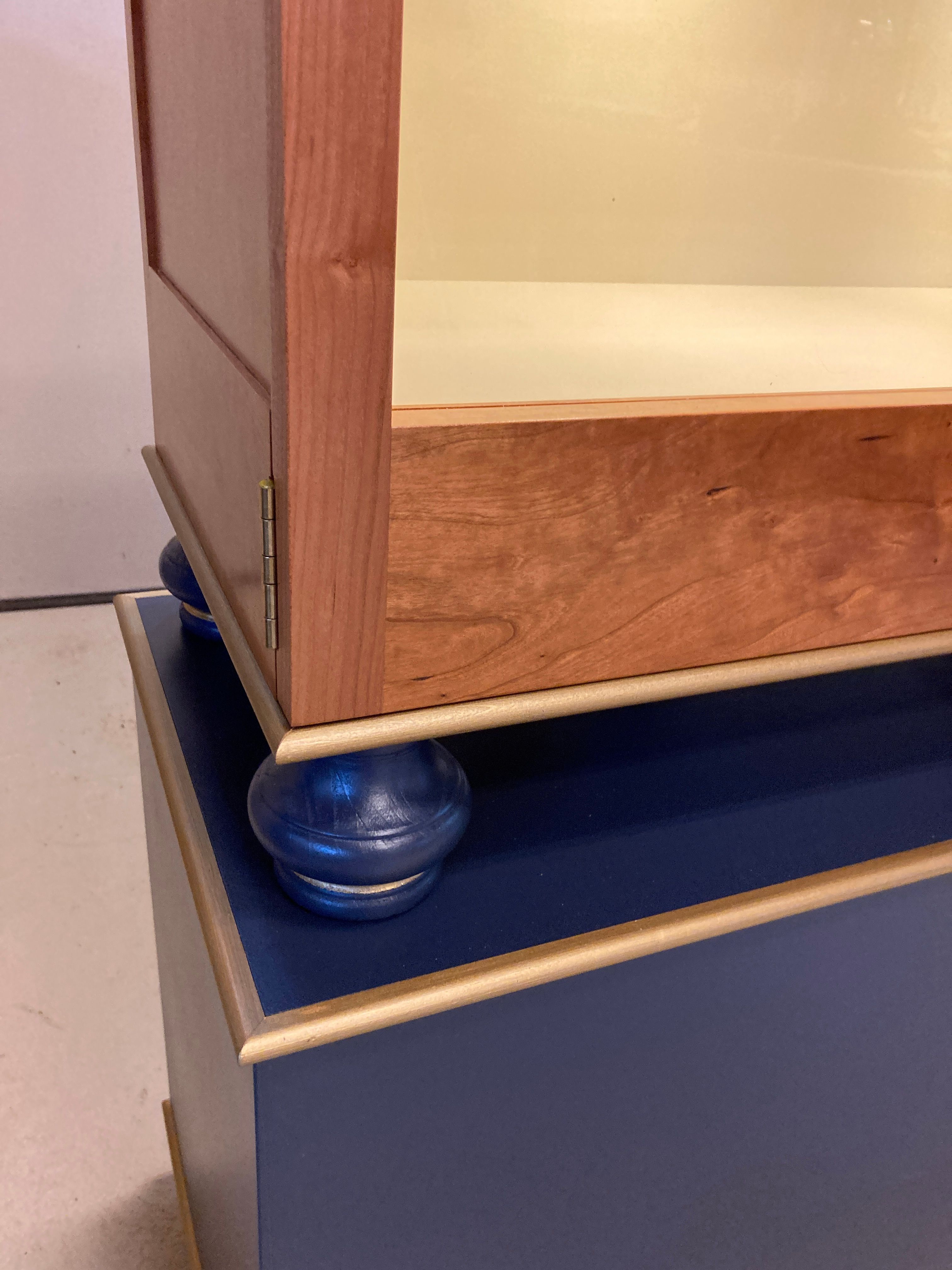 Museum Display Case 2 