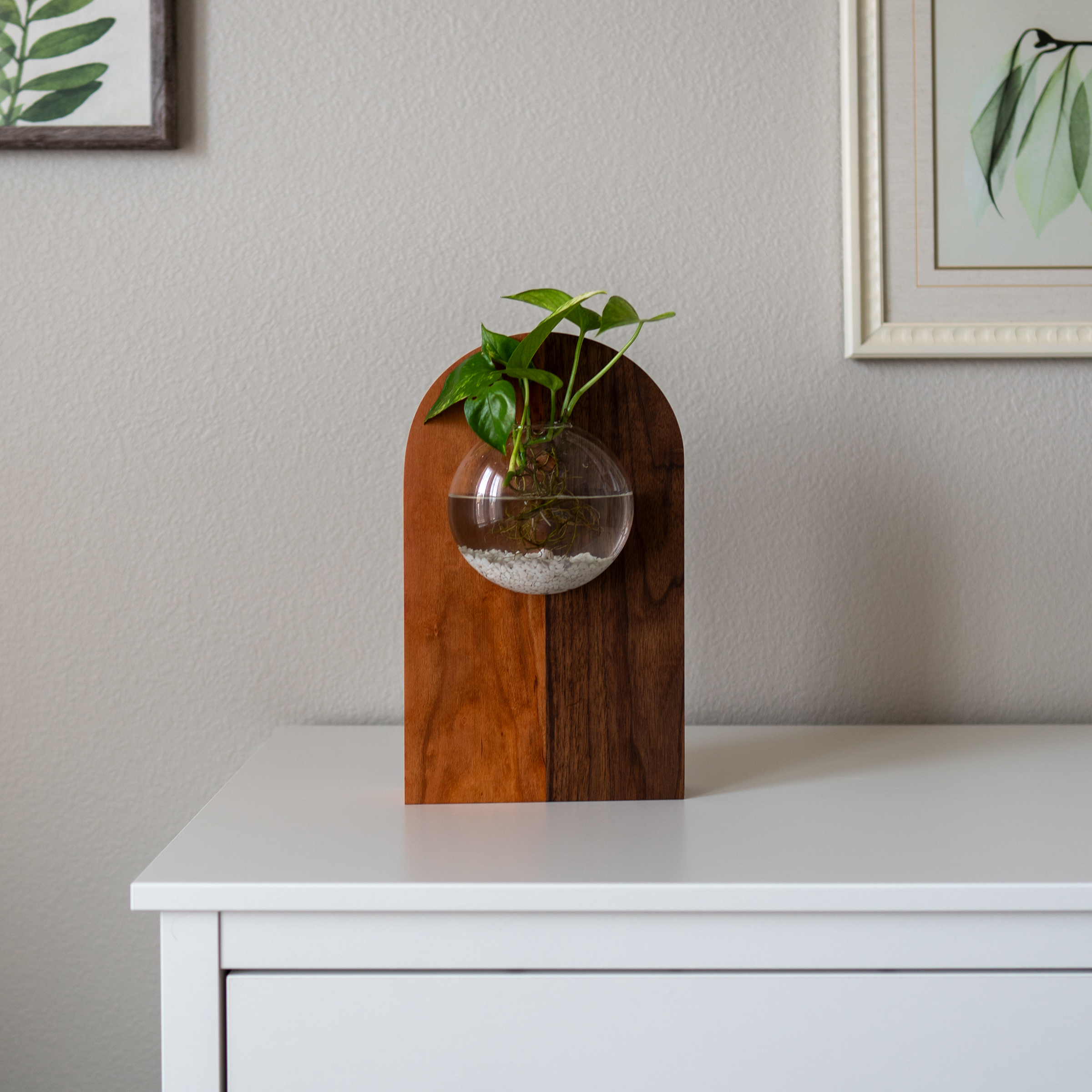 Propagation Vase - Fly Me To The Moon 5 