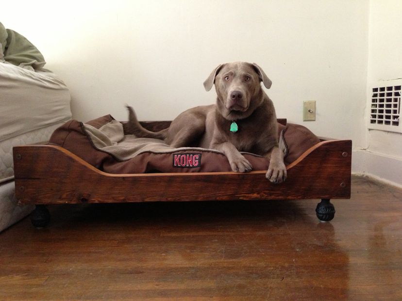 handmade wooden dog beds