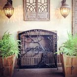 Fireplace Screens 3 small