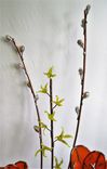 Forever Spring- Ikebana Style Glass, Copper, And Brass Floral Arrangement 4 small