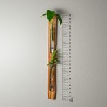 Hanging Propagation Vase 4 small