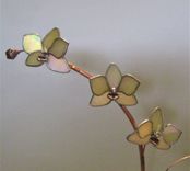 Orchid-Kaliedoscope-In Ever-Blooming 3d Iridescent Ecru Stained Glass 5 small