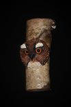 Wood Carving -  Owl - Original Hand Made Bird Sculpture -  Wall Art 4 small