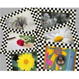 Black And White Checks Wall Decor 2025 Calendar Whimsical Checks Home Decor 2 small
