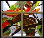 Fused Glass Mural 3 small