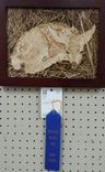 Pyrography Fine Art Framed Piece. Deer In The Grass, Hiding. 2 small