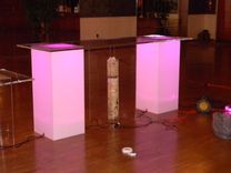 Lucite / Acrylic Pillars - Plant Stand - Different Colors, Size Available 6 small
