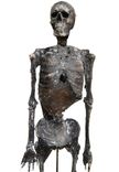 Halloween Prop Desiccated Mummy/Skeleton 3 small