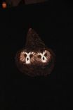 Owl Hand Carved And Sculpted 3 small