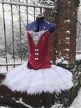 Custom Ballet Tutu Or Performance Costume 5 small