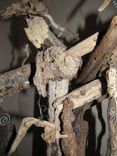 Edison's Gift Found Item Sculpture Driftwood And Beach Glass 3 small