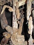 Edison's Gift Found Item Sculpture Driftwood And Beach Glass 4 small