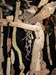 Edison's Gift Found Item Sculpture Driftwood And Beach Glass 5 small