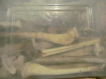 Big Bad Wax Encaustic Sculpture Project To Include Bones And Found Items 1 small