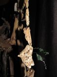 Edison's Gift Found Item Sculpture Driftwood And Beach Glass 9 small