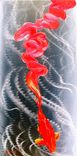 Koi Fish On Metal 2 small