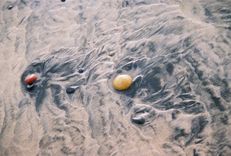 Beach Stones Aluminum Print That Is Tranquil And Very Zen 1 small