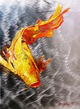 Koi Fish Aluminum Print, Unique Gift For Any Home Or Office. 'The Silver Koi' 4 small