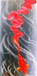 Koi Fish On Metal 3d Painting, Oil Painting On Stainless Steel 5 small