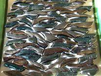 Small Mosaic Dish 5 small