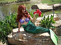 Ariel Resin Shells Painted Set (Resin Shell Bra Only) 2 small