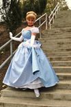 Cinderella New 2012 Park Style Swirl Gown Dress Custom Made 5 small