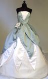 Custom Princess Tiana (B) Adult Costume 1 small
