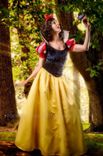 Custom Snow White D Adult Costume 2 small
